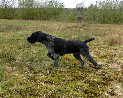 Ulla von Erthal (Улла фон Эрталь)